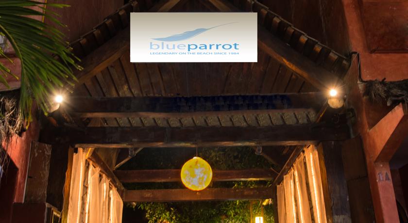 Blue Parrot 5th Avenue Playa del Carmen